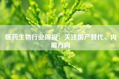 医药生物行业周报：关注国产替代、内需方向