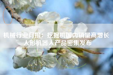 机械行业月报：挖掘机国内销量高增长 人形机器人产品密集发布