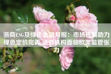 浙商ESG及绿色金融月报：市场机制助力绿色定价完善 资管机构面临欧美监管张力