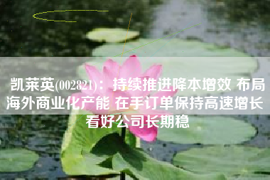 凯莱英(002821)：持续推进降本增效 布局海外商业化产能 在手订单保持高速增长 看好公司长期稳