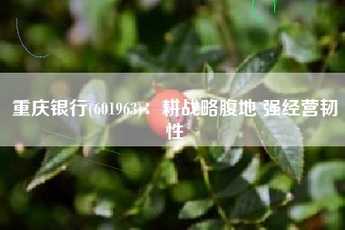 重庆银行(601963)：耕战略腹地 强经营韧性