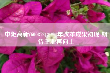 中炬高新(600872)：24年改革成果初现 期待主业再向上