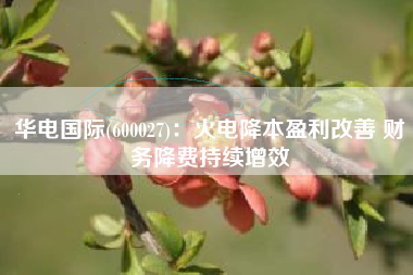 华电国际(600027)：火电降本盈利改善 财务降费持续增效