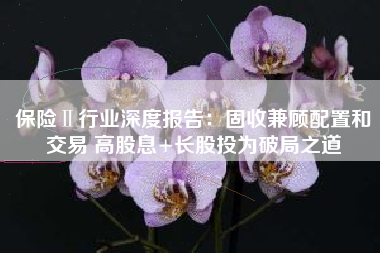 保险Ⅱ行业深度报告：固收兼顾配置和交易 高股息+长股投为破局之道