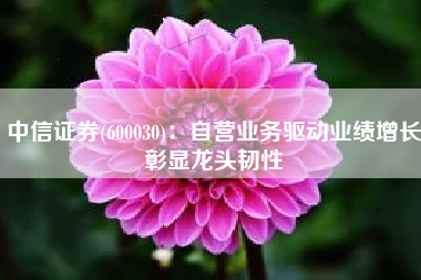 中信证券(600030)：自营业务驱动业绩增长彰显龙头韧性