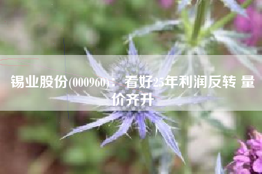 锡业股份(000960)：看好25年利润反转 量价齐升