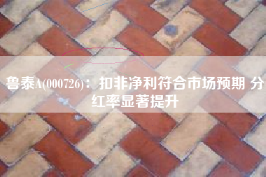 鲁泰A(000726)：扣非净利符合市场预期 分红率显著提升