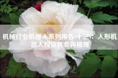 机械行业机器人系列报告(十三)：人形机器人投资机会再梳理