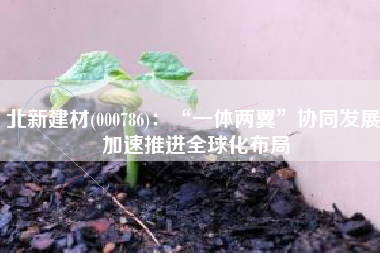 北新建材(000786)：“一体两翼”协同发展 加速推进全球化布局