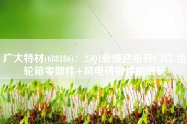 广大特材(688186)：25Q1业绩迎来开门红 齿轮箱零部件+风电铸锻件助增长