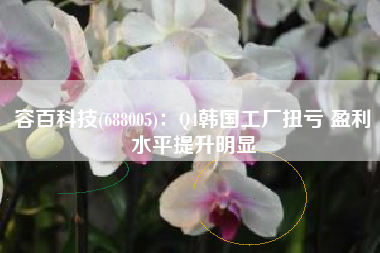 容百科技(688005)：Q4韩国工厂扭亏 盈利水平提升明显
