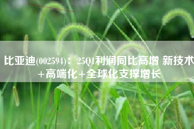 比亚迪(002594)：25Q1利润同比高增 新技术+高端化+全球化支撑增长