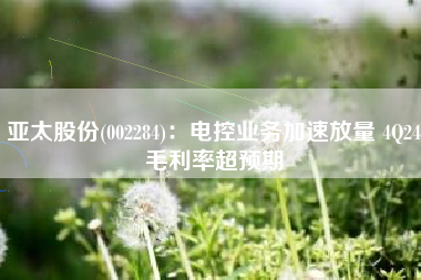 亚太股份(002284)：电控业务加速放量 4Q24毛利率超预期