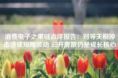 消费电子之果链点评报告：对等关税冲击造成短期波动 云开雾散仍是成长核心