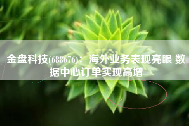 金盘科技(688676)：海外业务表现亮眼 数据中心订单实现高增