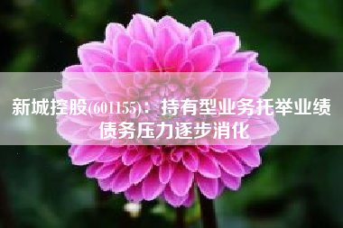 新城控股(601155)：持有型业务托举业绩 债务压力逐步消化