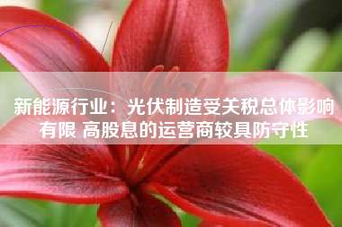 新能源行业：光伏制造受关税总体影响有限 高股息的运营商较具防守性