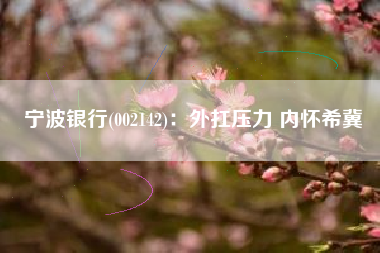 宁波银行(002142)：外扛压力 内怀希冀