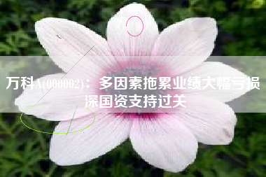 万科A(000002)：多因素拖累业绩大幅亏损 深国资支持过关