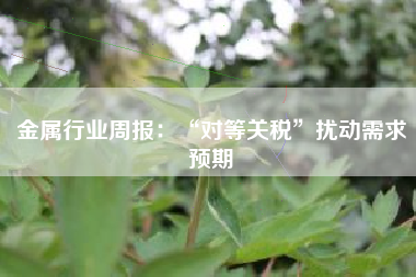金属行业周报：“对等关税”扰动需求预期