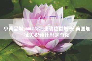小商品城(600415)：业绩稳健增长 美国加征关税预计影响有限