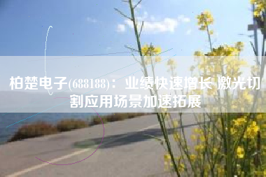 柏楚电子(688188)：业绩快速增长 激光切割应用场景加速拓展