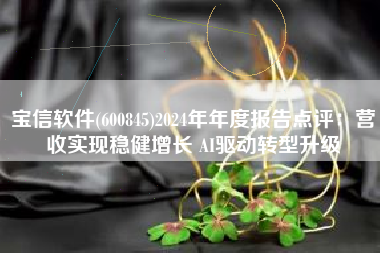 宝信软件(600845)2024年年度报告点评：营收实现稳健增长 AI驱动转型升级