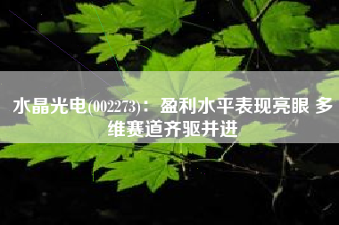 水晶光电(002273)：盈利水平表现亮眼 多维赛道齐驱并进