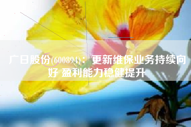 广日股份(600894)：更新维保业务持续向好 盈利能力稳健提升
