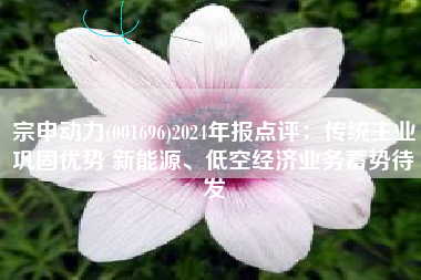 宗申动力(001696)2024年报点评：传统主业巩固优势 新能源、低空经济业务蓄势待发