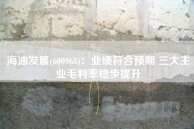 海油发展(600968)：业绩符合预期 三大主业毛利率稳步提升