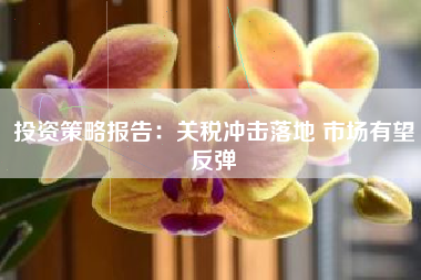 投资策略报告：关税冲击落地 市场有望反弹
