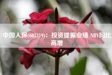 中国人保(601319)：投资提振业绩 NBV同比高增