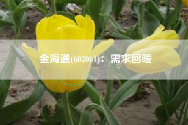 金海通(603061)：需求回暖