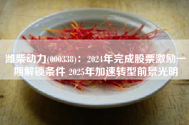 潍柴动力(000338)：2024年完成股票激励一期解锁条件 2025年加速转型前景光明
