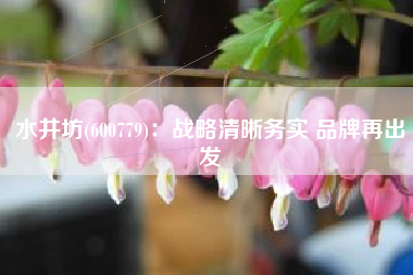 水井坊(600779)：战略清晰务实 品牌再出发