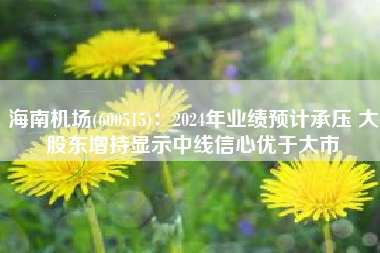 海南机场(600515)：2024年业绩预计承压 大股东增持显示中线信心优于大市