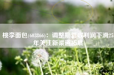 桃李面包(603866)：调整期营收利润下滑25年关注新渠道拓展