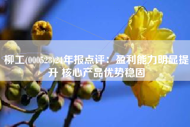 柳工(000528)24年报点评：盈利能力明显提升 核心产品优势稳固