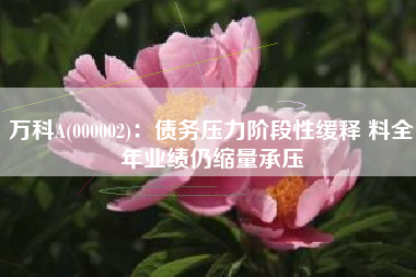 万科A(000002)：债务压力阶段性缓释 料全年业绩仍缩量承压
