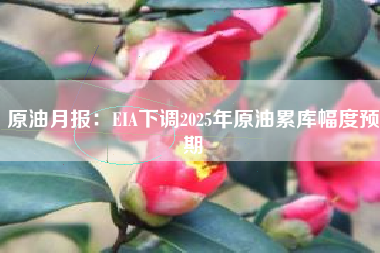 原油月报：EIA下调2025年原油累库幅度预期