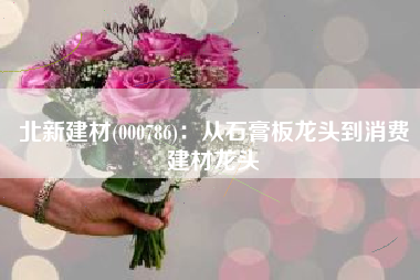 北新建材(000786)：从石膏板龙头到消费建材龙头