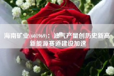 海南矿业(601969)：油气产量创历史新高 新能源赛道建设加速