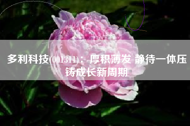 多利科技(001311)：厚积薄发 静待一体压铸成长新周期
