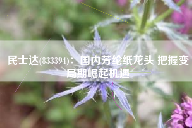 民士达(833394)：国内芳纶纸龙头 把握变局期崛起机遇