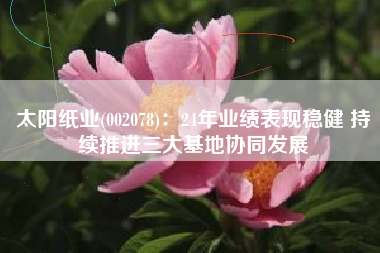 太阳纸业(002078)：24年业绩表现稳健 持续推进三大基地协同发展