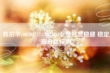 苏泊尔(002032)：2024Q4业绩经营稳健 稳定高分红标的