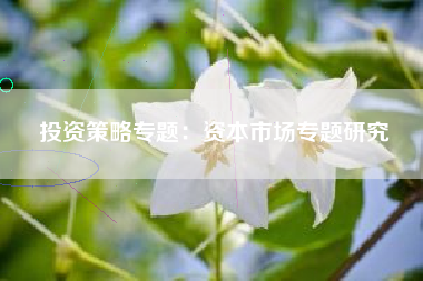 投资策略专题：资本市场专题研究