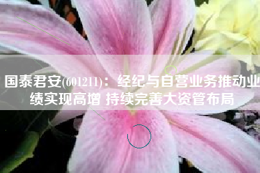 国泰君安(601211)：经纪与自营业务推动业绩实现高增 持续完善大资管布局