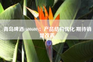 青岛啤酒(600600)：产品结构优化 期待销量改善